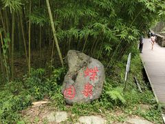 -都江堰中华大熊猫苑