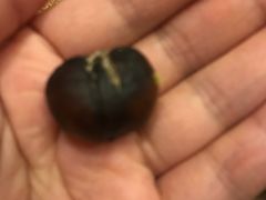 -方林富炒货店(西溪路78号本人店)