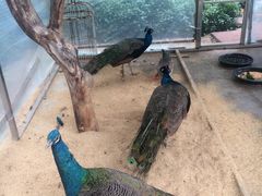 -厦门悦华酒店