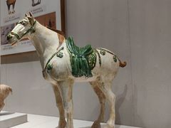 -深圳博物馆(古代艺术馆)