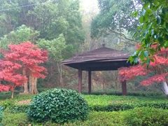 -韶山毛泽东同志故居