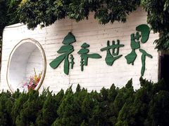 -青青世界