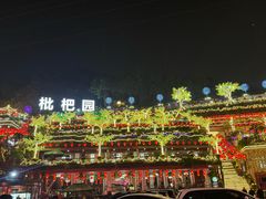 -枇杷园食为鲜火锅(南山店)