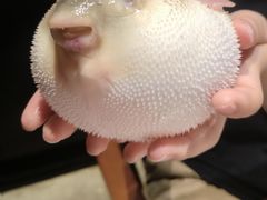 -永安鱼庄·镇江菜(东吴路店)