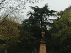 -伯先公园