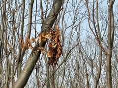 -潘广路(地铁站)