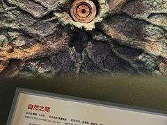 -四川大学博物馆