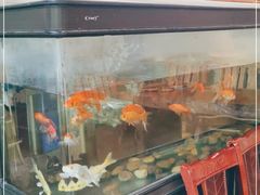 -阳光山水江湖菜馆(西山龙门店)