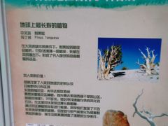 -石家庄市植物园