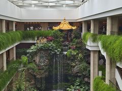 -白天鹅宾馆-宏图府餐厅