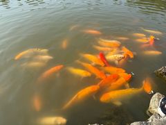 -云水涧亲子度假酒店