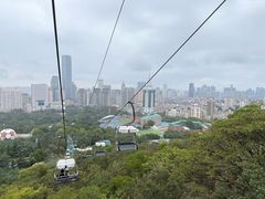 -富斯特索道