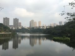 -重庆彩云湖湿地公园
