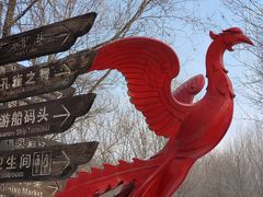 -沈阳鸟岛