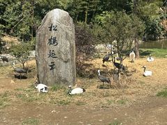 -杭州野生动物世界