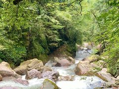 -西岭雪山大飞水景区