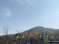 -白马涧龙池景区