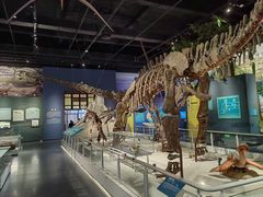 -国家自然博物馆