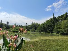 -桤木河湿地公园