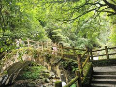 -西岭雪山大飞水景区