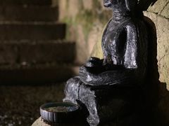 -普陀山雷迪森庄园