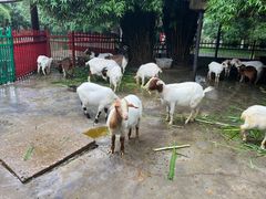 -南昌动物园