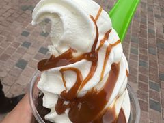-Salud撒露欧洲冻酸奶(蓝色港湾店)