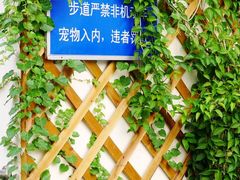 铁路文化公园&nbsp;(31)-铁路文化公园