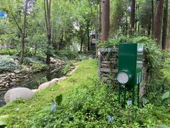 -成都市活水公园