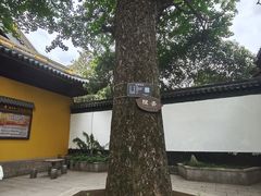 -虞山风景区