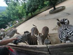 -泉州海丝野生动物世界