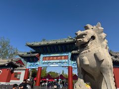 -曹州牡丹园