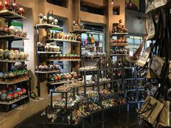 -奥利弗·雷金纳德·坦博国际机场