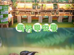 -正佳雨林生态植物园