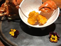 -桐寿司Sushi Tong