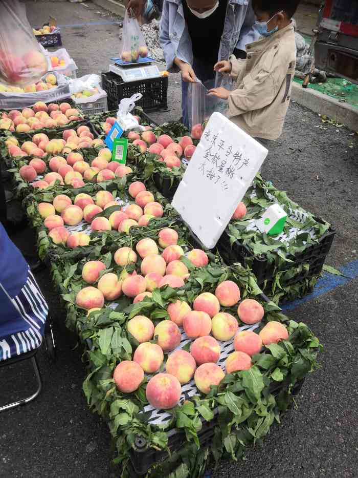 北塘海货早市-"我家就是老北塘人呀.二十年前从北塘搬出来.