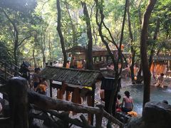 -天门沟九州驿站树上汤泉
