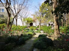 -上海醉白池公园