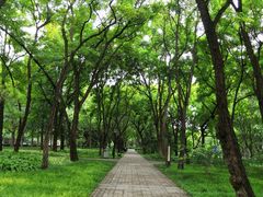 -玲珑塔公园