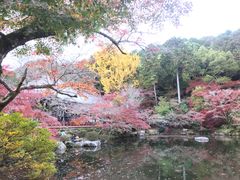 -醍醐寺