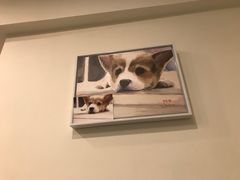 -22cafe