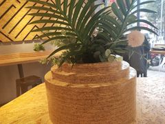 -猪脑壳凉面(武陵源店)