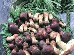 -大理董·董家小厨野生菌火锅(古城旗舰店)