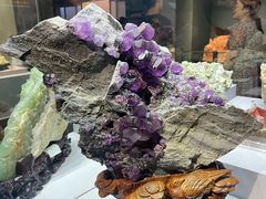 -湖南省地质博物馆