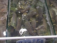 -拉威海鲜市场