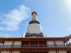 景点-张掖大佛寺景区