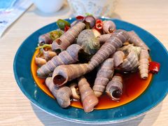 椒麻鲜汁捞三螺-小船渔村•大连菜•大连焖鱼(黄河路店)