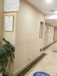 点击看大图 -碧莲盛·不剃发植发