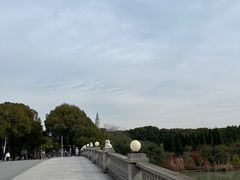 -华东政法大学(松江校区)