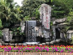 -广州市流溪河国家森林公园